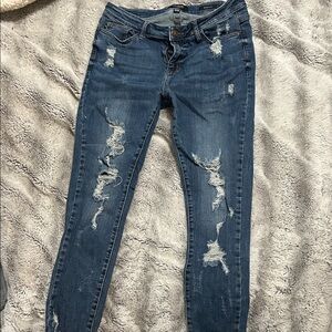 Judy Blue Distressed Skinny Jeans in Blue